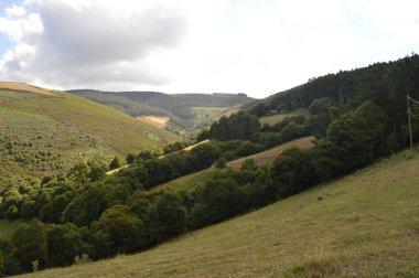 Vadilerin tam Galicia görkemli Dağları çam ormanları çayırları ve Rebedul Içinde Eucaliptus ormanları. 3 Ağustos 2013. Rebedul, Lugo, Galicia, Ispanya. Kırsal turizm, doğa.