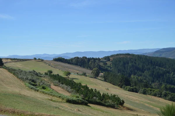 谷の松林の牧草地とリベドゥルのユーカリの森の完全なガリシアの雄大な山々 2013年8月3日リベドゥル ガリシア スペイン 農村観光 — ストック写真