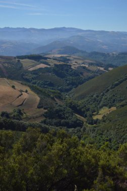 Vadilerin tam Galicia görkemli Dağları çam ormanları çayırları ve Rebedul Içinde Eucaliptus ormanları. 3 Ağustos 2013. Rebedul, Lugo, Galicia, Ispanya. Kırsal turizm, doğa.