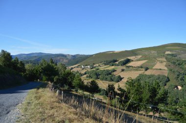 Yol Galicia Dağları ve Rebedul Içinde okaliptüs ormanları çayırlar ormanları vadiler doldurur yanında. 3 Ağustos 2013. Rebedul, Lugo, Galicia, Ispanya. Kırsal turizm, doğa.