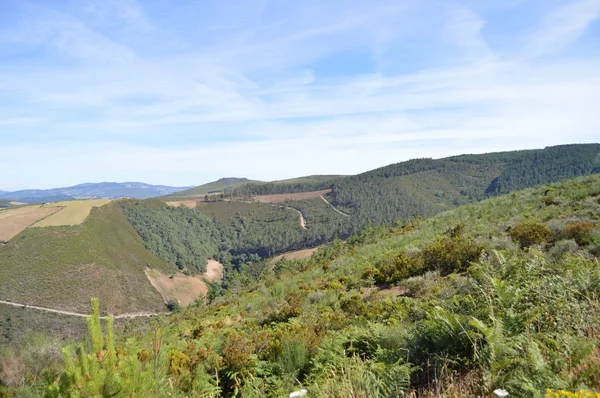 Majestätische Berge Von Galicien Voller Täler Kiefernwälder Wiesen Und Eukalyptuswälder — Stockfoto