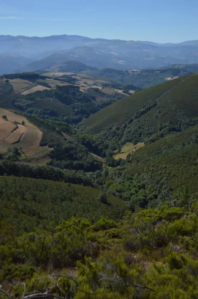 Majestätische Berge Von Galicien Voller Täler Kiefernwälder Wiesen Und Eukalyptuswälder — Stockfoto