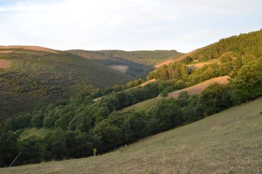 Vadilerin tam Galicia görkemli Dağları çam ormanları çayırları ve Rebedul Içinde Eucaliptus ormanları. 3 Ağustos 2013. Rebedul, Lugo, Galicia, Ispanya. Kırsal turizm, doğa.