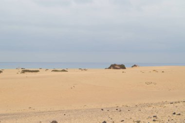 Corralejo'da Kumda Yazılı Volkanik Taşlardan Oluşan Bir Kalpli Güzel Çöl Tepeleri. Temmuz 8, 2013. Corralejo Fuerteventura Kanarya Adaları. Doğa Tatili