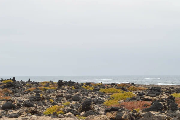 Bay Full Vulkaniska Stenar Nära Sanddynerna Corralejo Juli 2013 Corralejo — Stockfoto