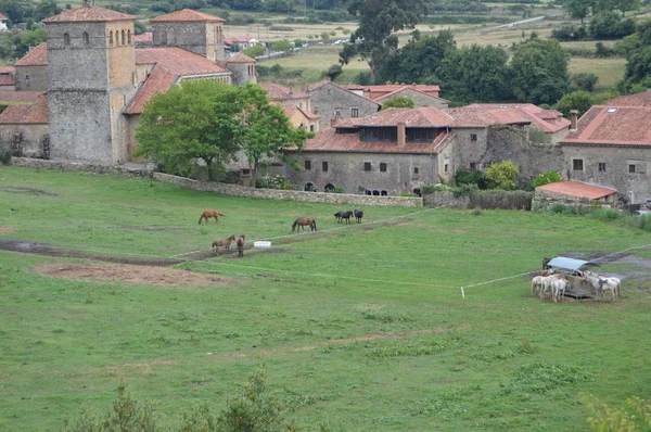 Schöne Reitschule Voller Pferde Mittelalterlichen Dorf Santillana Del Mar August — Stockfoto