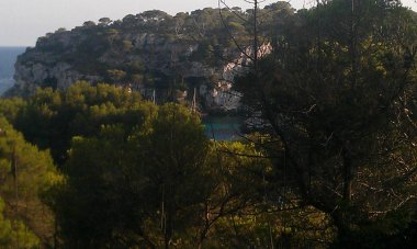 Çam Ormanı Ile Menorca Adası'ndaki Kale'de Cala Macarella'yı görebilirsiniz. Temmuz 5, 2012. Menorca, Balear Adaları, İspanya, Avrupa. Seyahat TurizmI Sokak Fotoğrafçılığı