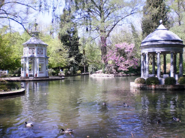 Bellissimo lago pieno di anatre del palazzo di Aranjuez. 25 aprile, 2 — Foto Stock