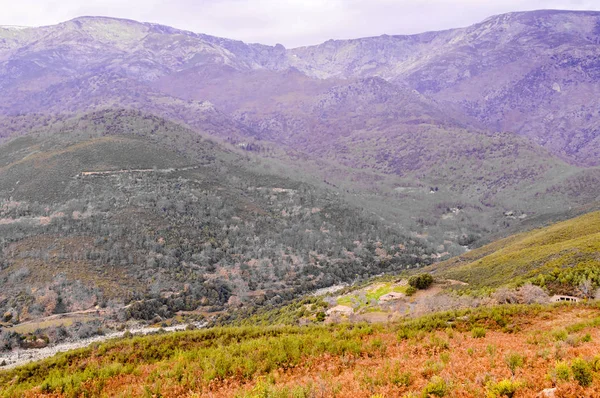 Weiden Der Bergkette Von Gredos Mit Blick Auf Den Almanzor — Stockfoto