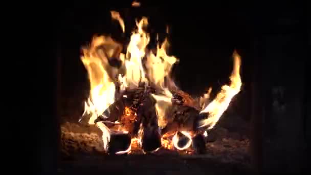 壁炉里的火 火炉里的火 — 图库视频影像