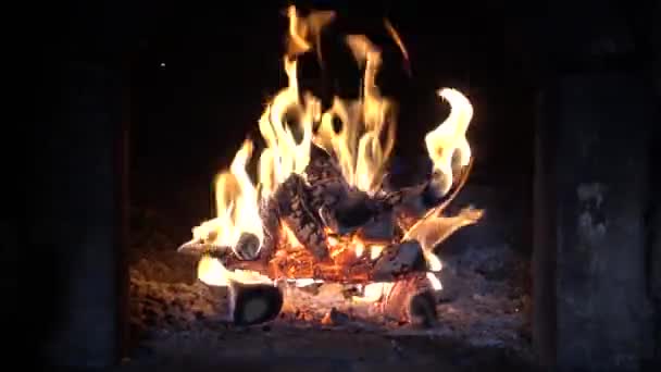 Feu Dans Une Cheminée Feu Dans Four — Video