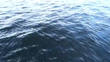 Portre. Küçük dalgalar ile su