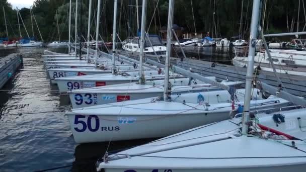 Yacht Dokk Pier Jachtok Szél Vitorla — Stock videók