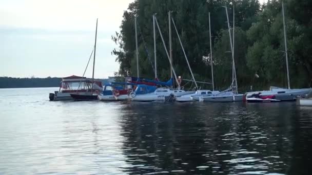 Яхта Доке Пирс Яхты Ветер Паруса — стоковое видео