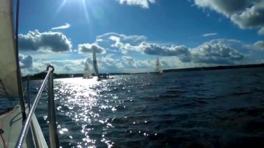 Regatta. Güzel yaz günü, beyaz yelken, yatlar ve özgürlük