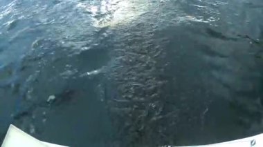 Regatta. Yat rekabet bulutlu bir göl üzerinde