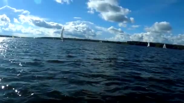 Регата Конкурс Яхт Озере Пасмурном Виде — стоковое видео