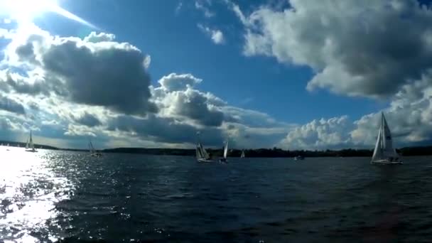 Pier Befinden Sich Mehrere Yachten Der Wind Spielt Die Segel — Stockvideo