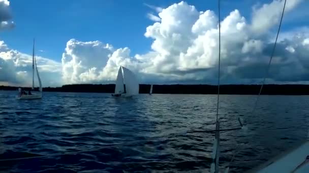 レガッタ 曇りで湖の上のヨットの競争 — ストック動画