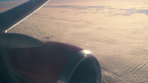 비행 중에 비행기 날개 — 비디오