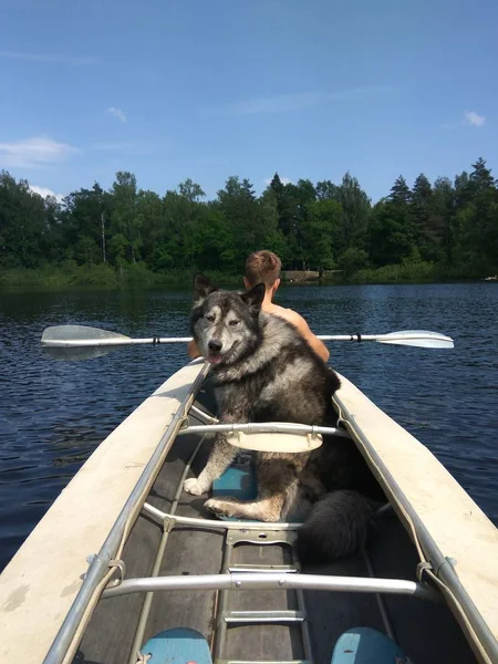 Man Dog Kayak Stock Picture