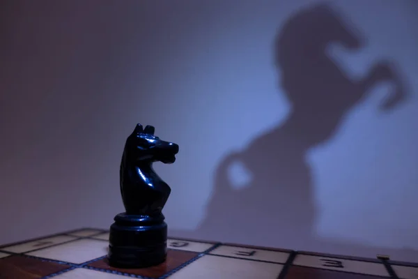 チェス騎士との生活馬の影 ロイヤリティフリーのストック写真