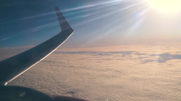 Uçuş sırasında uçağın kanat — Stok video