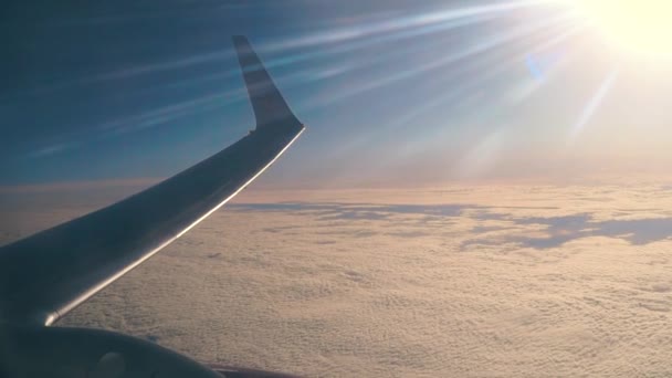 Vliegtuig vleugels tijdens de vlucht — Stockvideo