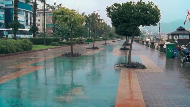 Lluvia en la calle — Vídeo de stock