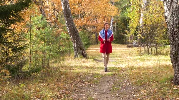 Chica Caminando Por Bosque Otoño — Vídeo de stock