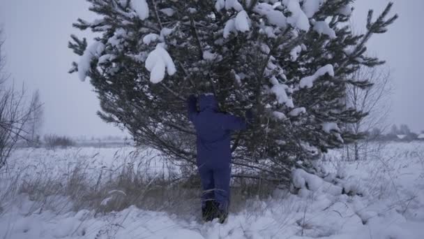 Man Shakes Snow Covered Pine Avalanche Snow Falls — Stock Video