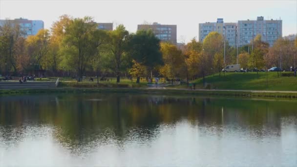 Lagoa no parque da cidade — Vídeo de Stock