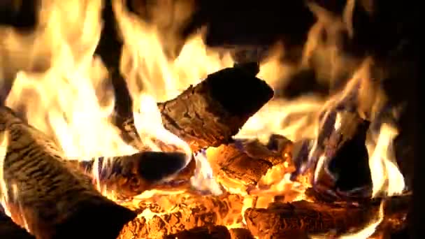 Brinnande trä närbild — Stockvideo