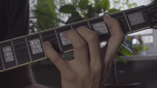 Het spelen van akkoorden op de gitaar — Stockvideo