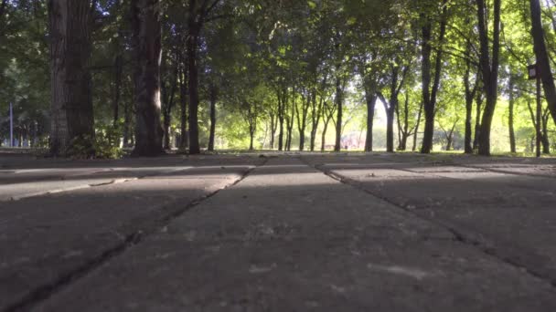 在公园里跑步的男运动员 一个男人从镜头里跑了过去 — 图库视频影像
