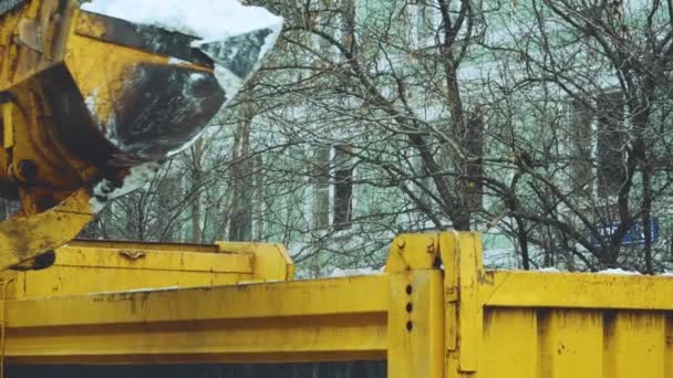 Spezialgeräte Entfernen Schnee Und Laden Schnee Die Karosserie Des Lastwagens — Stockvideo