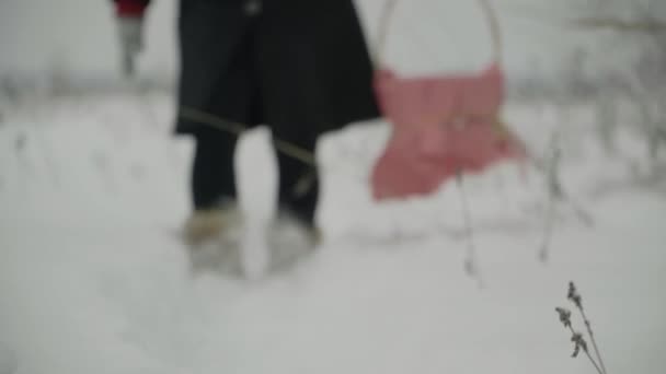 その女の子は冬の小道のカゴに乗って 猛吹雪の中を通り抜けていく その女の子は最初にピントを合わせ 前に進むにつれてピントが合わせられる — ストック動画