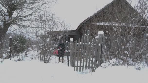 彼の土地と葉のゲートから冬にバスケットを持つ少女 — ストック動画
