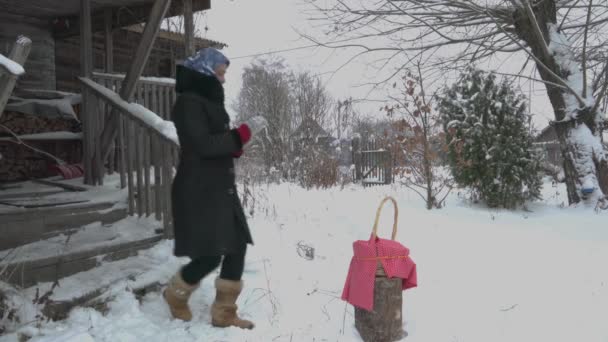 Flicka Vintern Huset Tar Korgen Och Går — Stockvideo