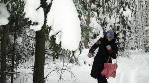 Ein Mädchen Mit Blauem Schal Winterwald Berührt Einen Zweig Des — Stockvideo