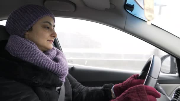 Flicka som kör bil, utsikten från stugan. — Stockvideo