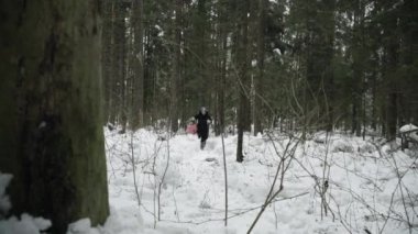 Kız kış ormanından geçiyor ve karda tökezledi.