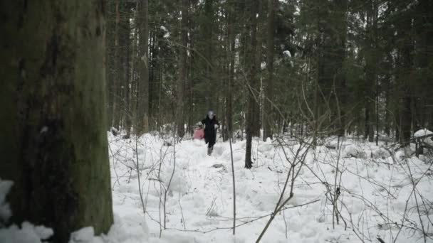 Fille Court Travers Forêt Hiver Trébuche Dans Neige — Video