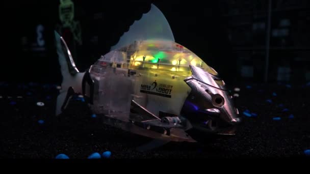 魚のロボットは 水族館で泳ぐと異なる色できらめき モスクワ 2019年4月 — ストック動画