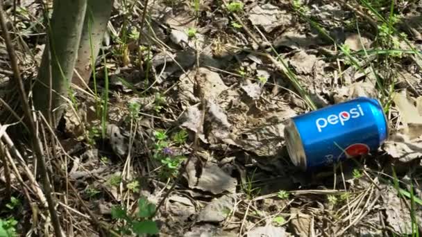 Discarded Can Pepsi Cola Lying Woods Grass Moscow Region May — Stock Video