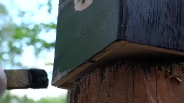 La caja de madera está pintada con un pincel — Vídeo de stock