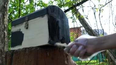 İnsanlar fırça boya ahşap kutu küçük dabs