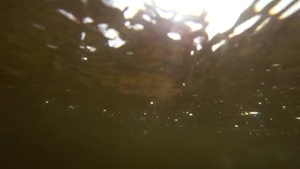 Disparo subacuático de la superficie del agua con agua ondulada — Vídeo de stock