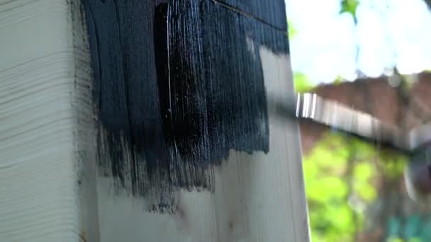 Uma pessoa pinta uma superfície de madeira com um pincel de tinta preta — Vídeo de Stock
