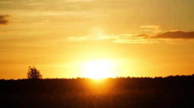 Güneş ormanın arkasında yavaşça batıyor..